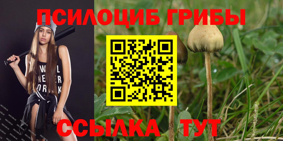 Псилоцибиновые грибы прущие грибы  Вход с VPN  Череповец 