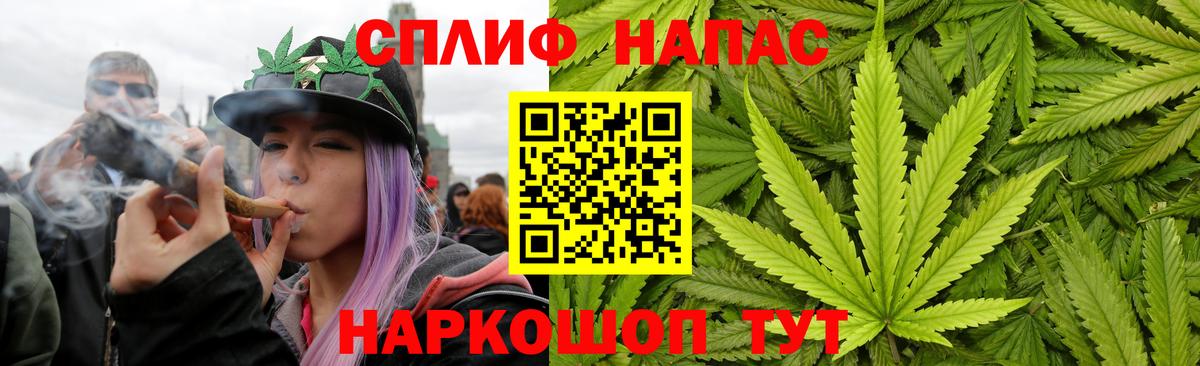 Канабис OG Kush Череповец